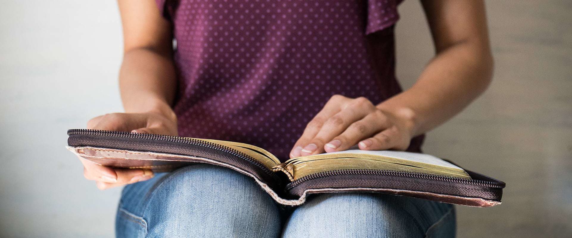 What are the steps of bible study?